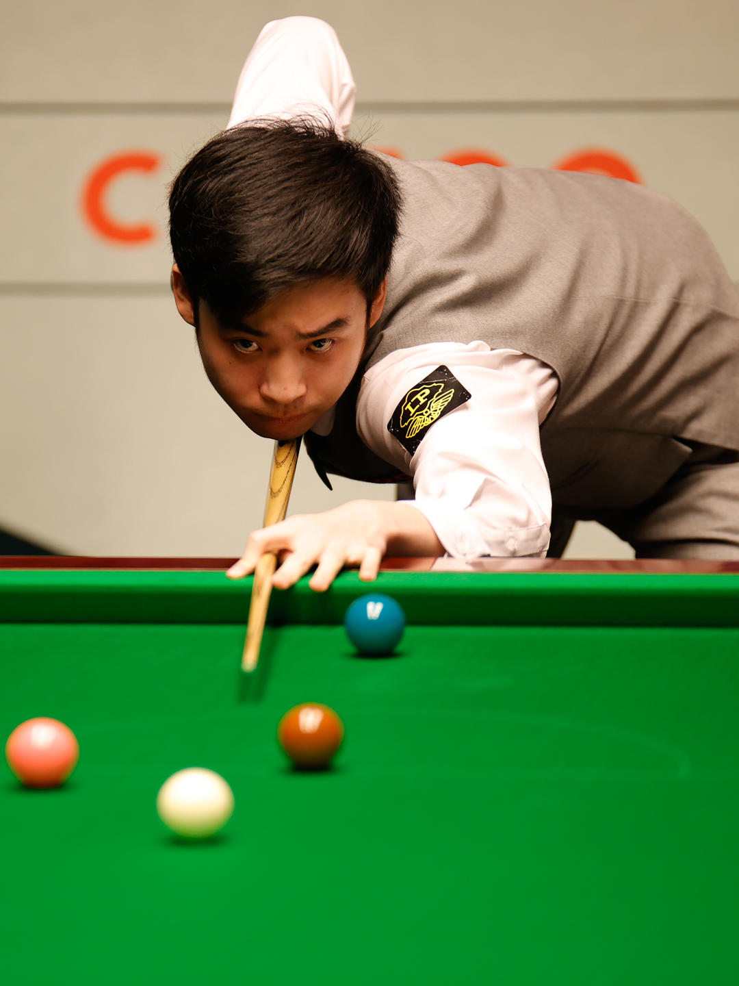 了她出色的 了她出色的